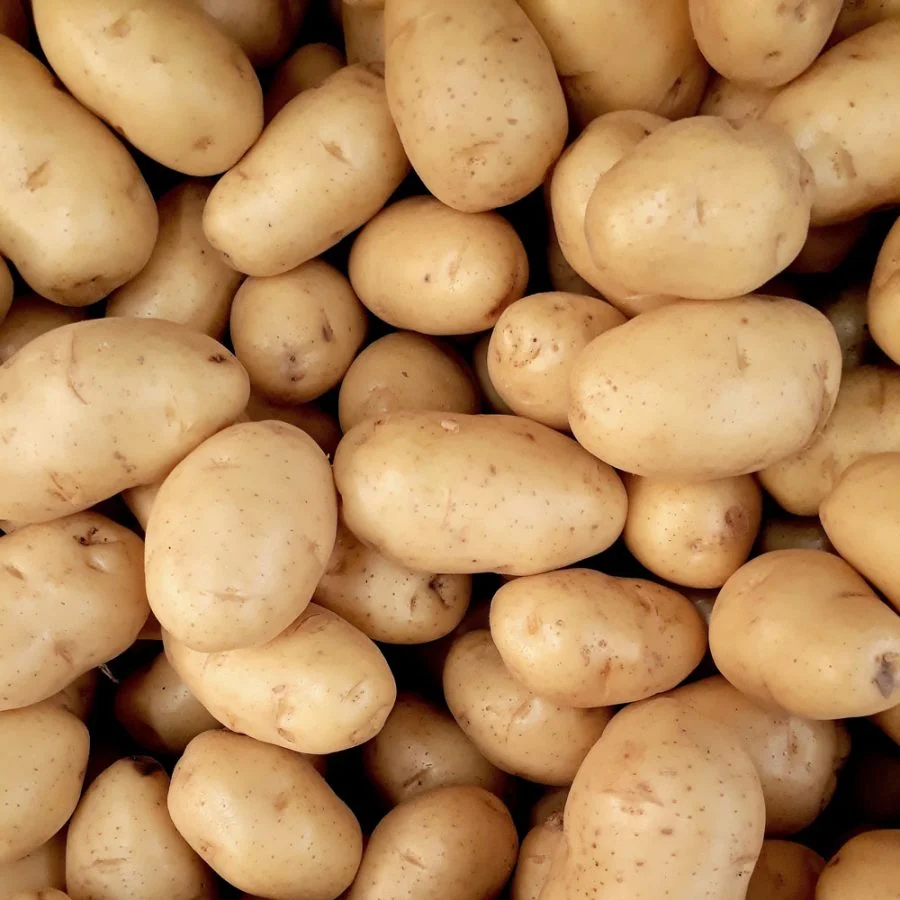 Pommes de terre